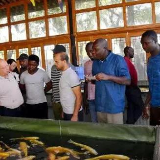 无锡市河豚哪里有卖的