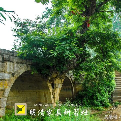 安徽省苏州市什么桥区