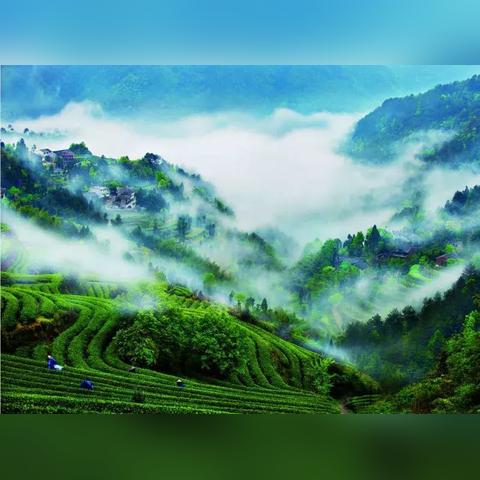 2025.11.16温州今天空气质量指数怎么样