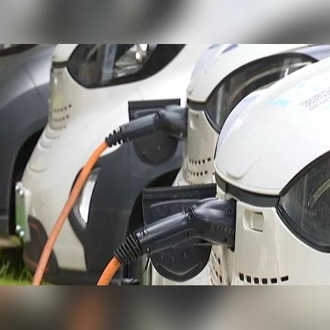 南宁市怎么取消电动车牌