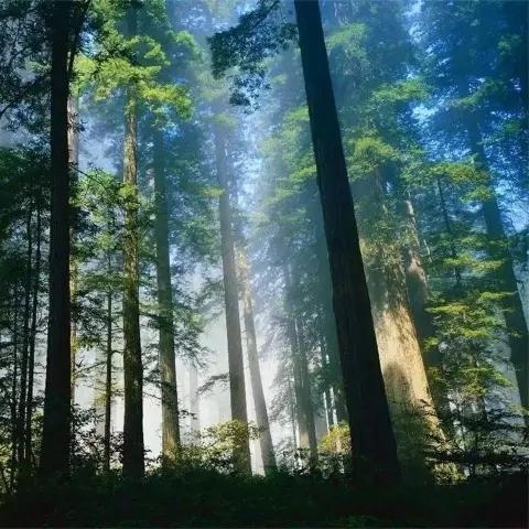 河南夏天避暑的相关长尾关键词有哪些