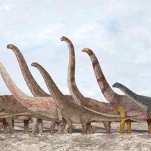 黄河边菏泽市的长尾关键词有哪些