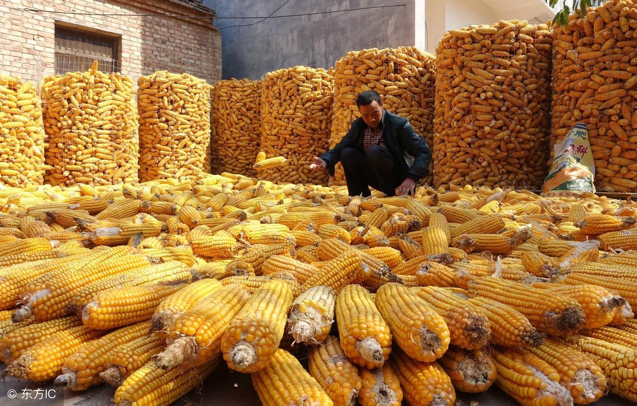 【吉林新增1730例本土确诊病例
/吉林新增1730例本土确诊病例多少】-图1 【吉林新增1730例本土确诊病例
/吉林新增1730例本土确诊病例多少】-图1