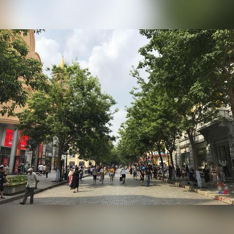 哈尔滨市在中国什么位置