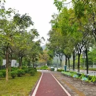 外地摩托车可以在合肥市瑶海区骑行吗？