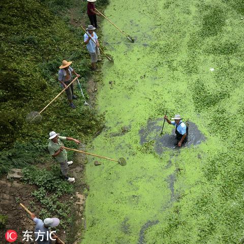 济南市河道归属哪个部门