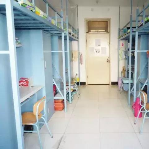 天津高校怎么样