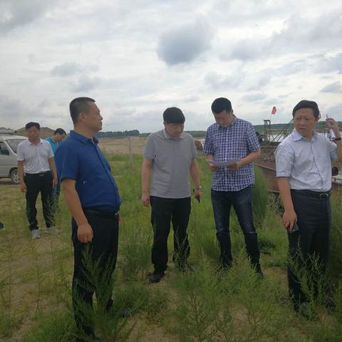 哈尔滨市在哪里找工作比较好