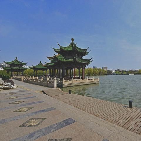 南通珍稀雪松种类图片长尾关键词有什么