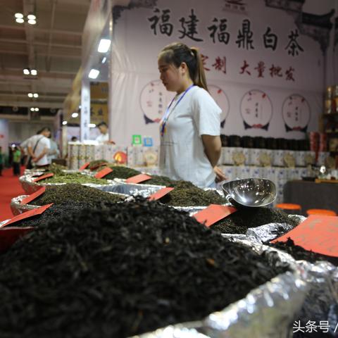 兰州红茶加盟市场如何的相关长尾关键词有哪些