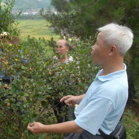 东莞市哪里有技校