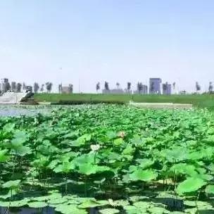 沈阳六处是什么单位？