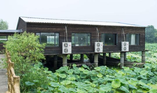 这五个农村创业项目，现在依然大片市场，潜力无限，赶快来了解下