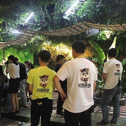福建地区屋顶花园常用的植物？