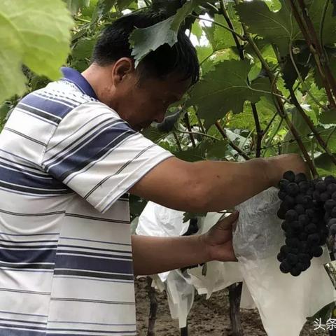 在西安开水果店利润怎样？