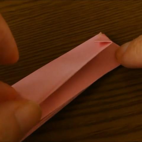 立体孔雀折纸大全图解的长尾关键词是什么