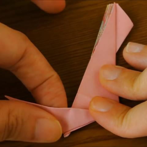 孔雀开屏折纸视频大全的长尾关键词是什么
