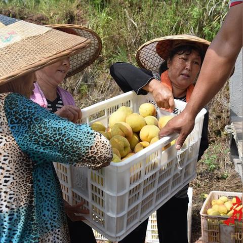 长沙至麻阳的火车相关长尾关键词有哪些