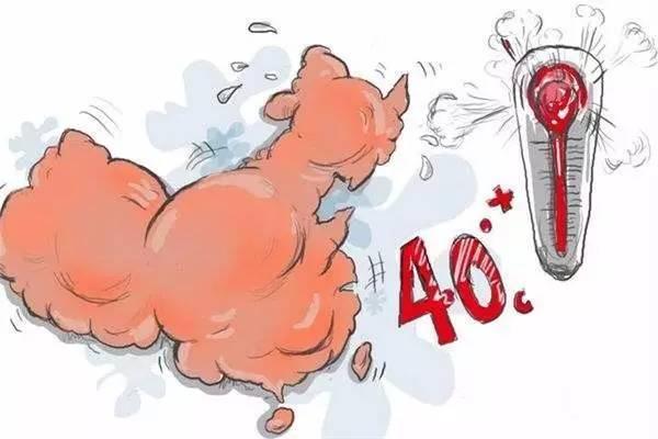 今年中伏20天是哪20天