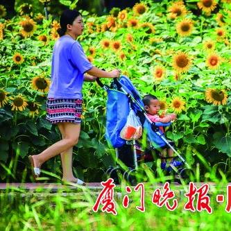 厦门市为什么没有海啸