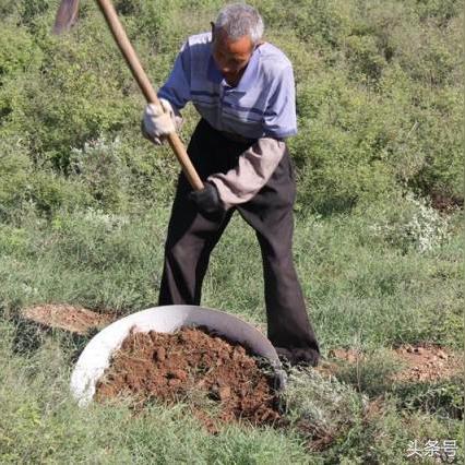 石家庄市造林公司的长尾关键词有哪些