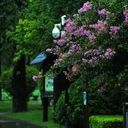 济南下雨去哪里玩相关长尾关键词有哪些