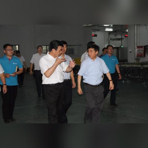 河南肉类市场怎么样