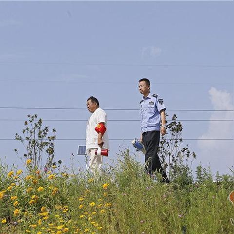 西安市游泳锦标赛怎么报名