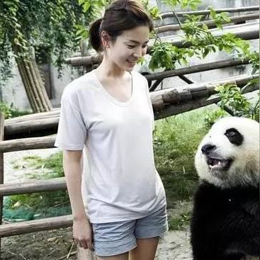 成都市一井火锅地址查询的长尾关键词有哪些