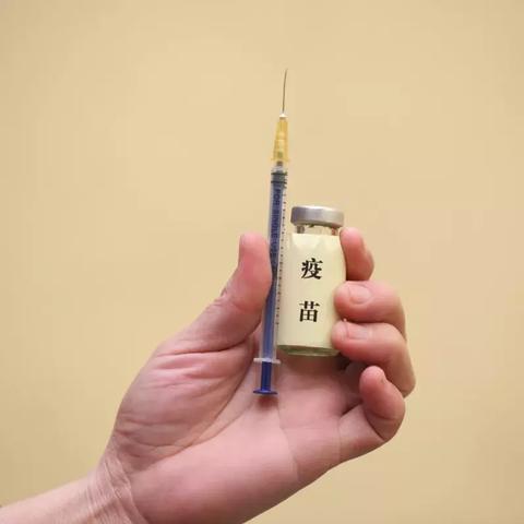 武汉市疫苗为什么停了