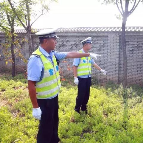 高阳最新招聘司机三天以内的~高阳最新招聘司机三天以内的信息