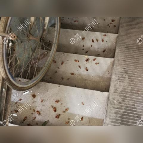 桂林市高层居民楼有哪些
