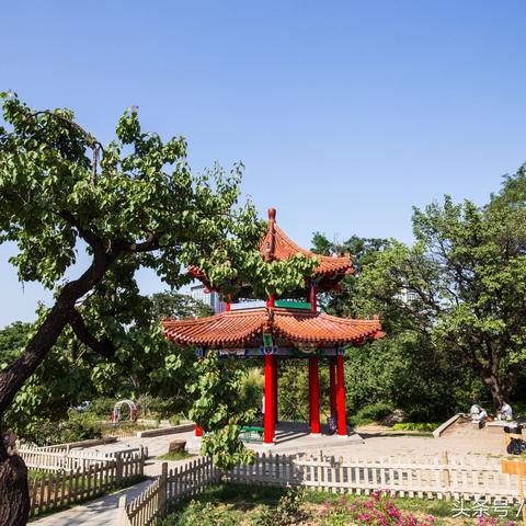 大连市有故事的城市叫什么