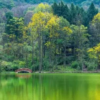 喇叭河风景区天气预报的长尾关键词有什么