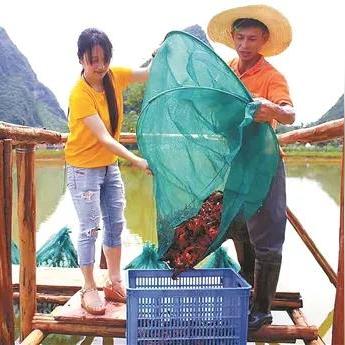 桂林市哪里的小龙虾好吃