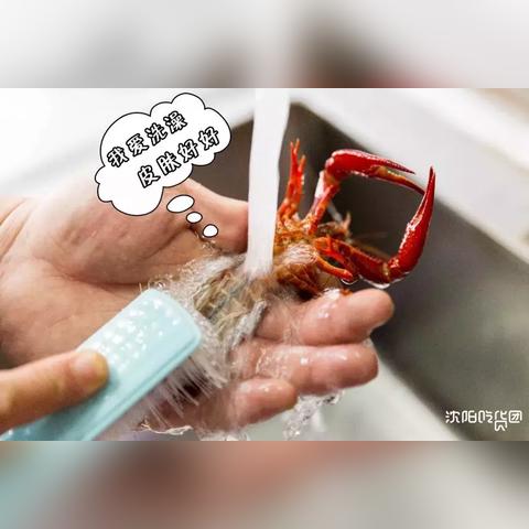 沈阳外卖商家群相关长尾关键词有哪些