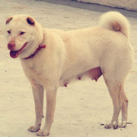 为什么南方天气越来越热