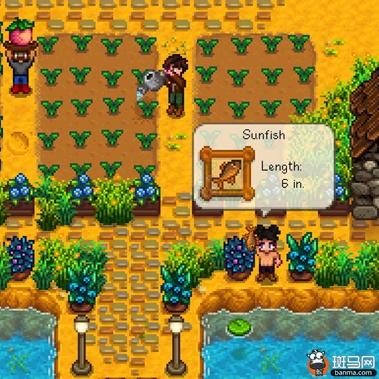 星露谷物语技能（星露谷物语中的技能系统）