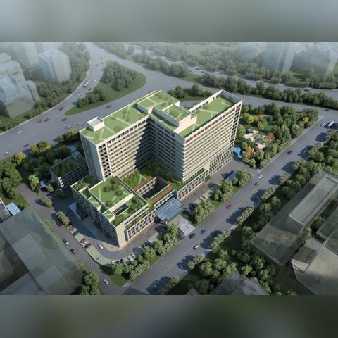 杭州市人才证什么样子的