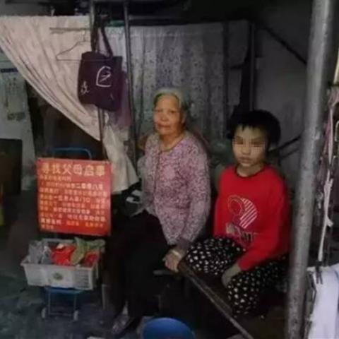 东莞市宠物福利院在哪里