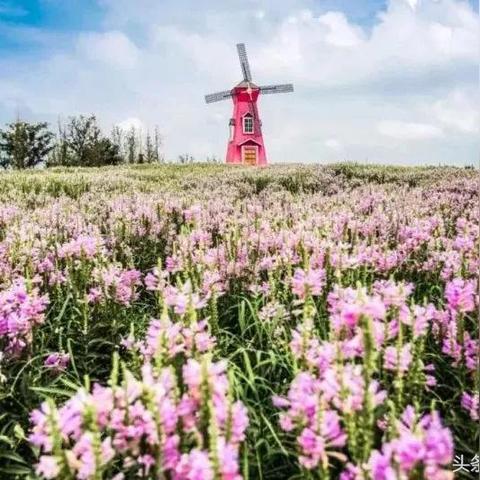 临沂市老教堂有哪些的长尾关键词有哪些