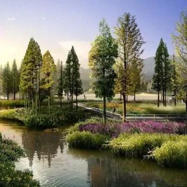 管委会是什么性质？