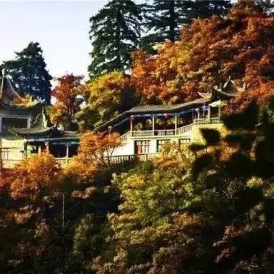兰州飞西峰的相关长尾关键词有哪些