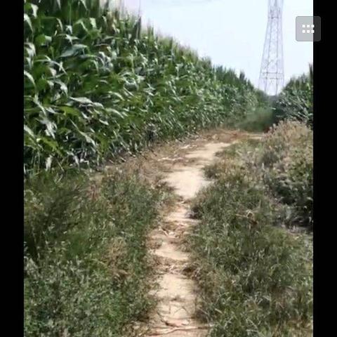 保定市蠡县的天气的长尾关键词有哪些