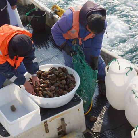 大连十月一的天气的相关长尾关键词有哪些