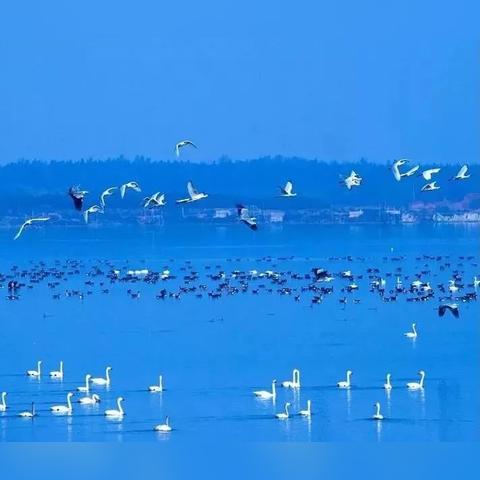 武汉市夏天的天气怎么样