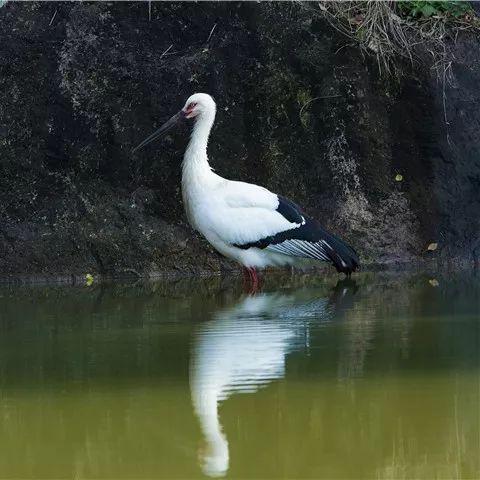 河南三明集团的相关长尾关键词有哪些
