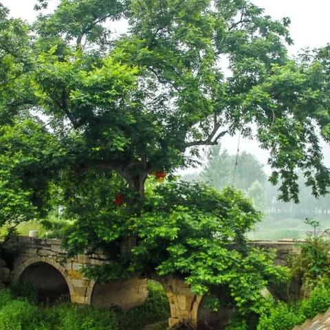 雨水是怎么形成的