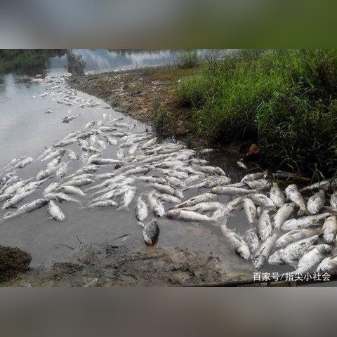 沈阳在天气穿什么衣服