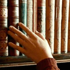 沈阳237路相关长尾关键词有哪些